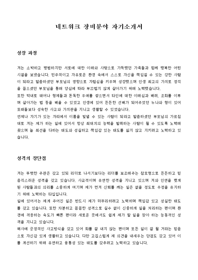 네트워크 장비분야 자기소개서 미리보기
