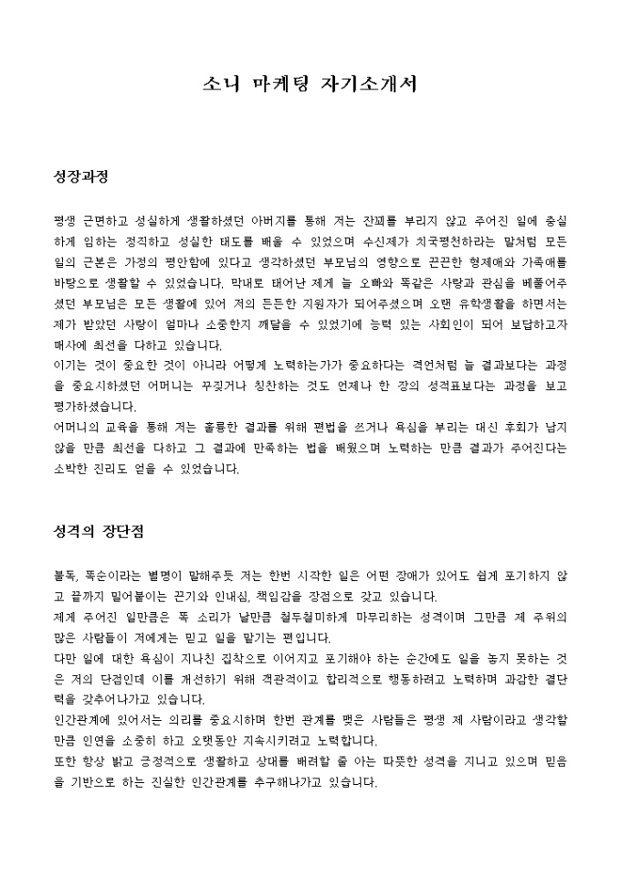 소니 마케팅 자기소개서 미리보기