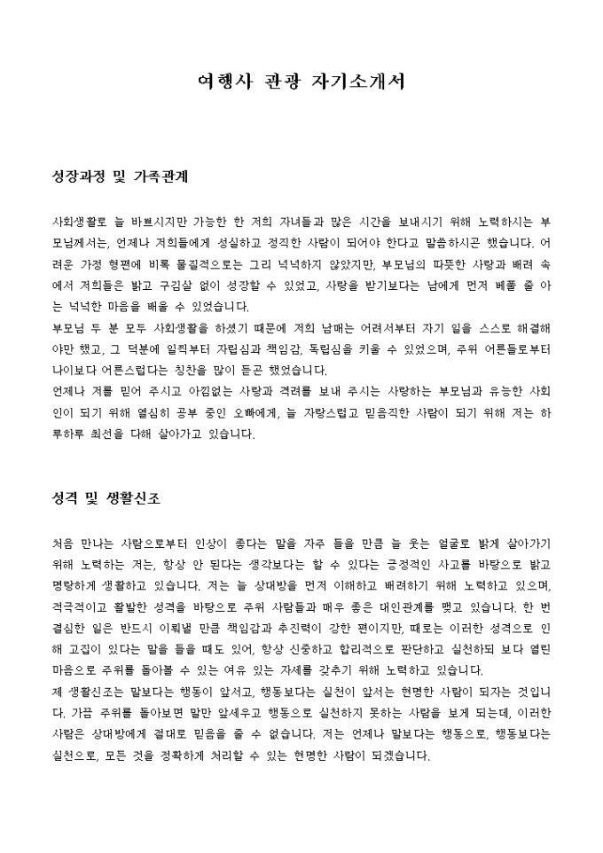 여행사 관광 자기소개서 미리보기
