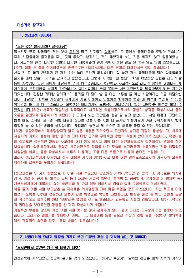 대홍기획 광고기획 자기소개서 미리보기
