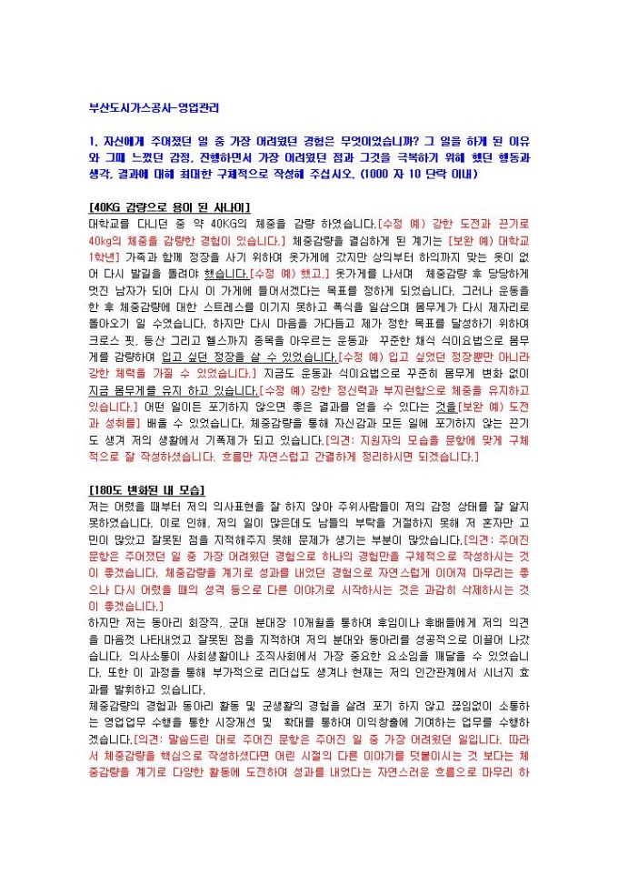 부산도시가스공사 영업관리 자기소개서 미리보기