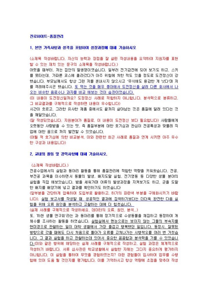 진로하이트 품질관리 자기소개서 미리보기