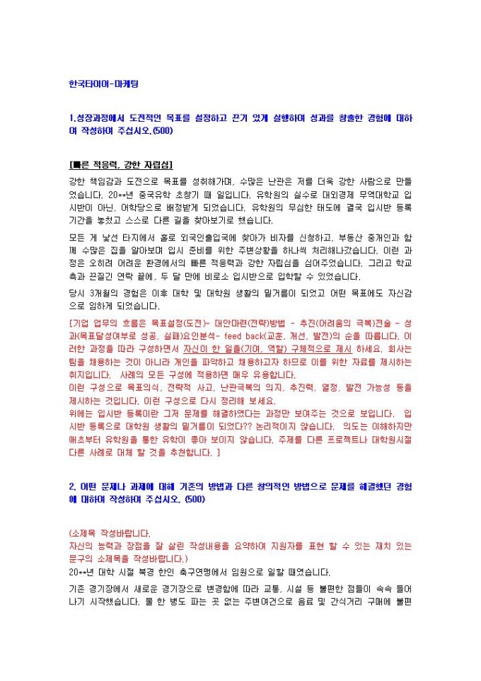 한국타이어 마케팅 자기소개서 미리보기
