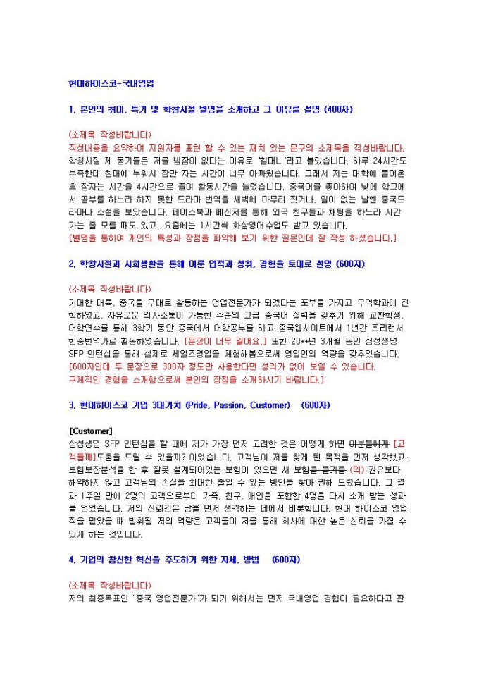 현대하이스코 국내영업 자기소개서 미리보기