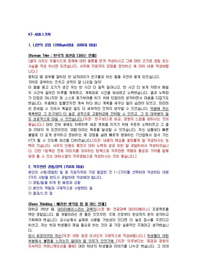 KT 서비스기획 자기소개서 미리보기