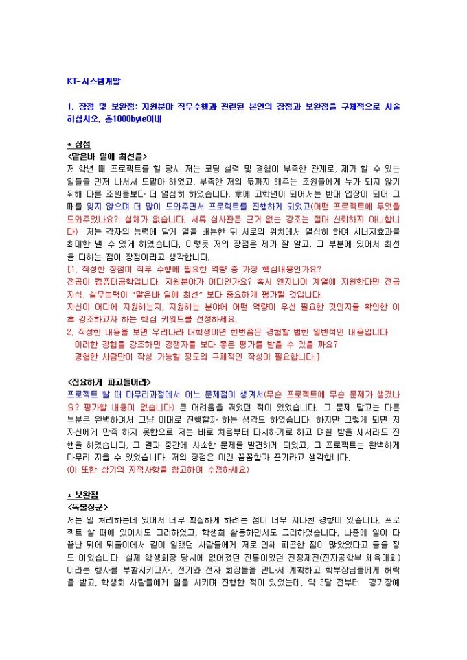 KT 시스템개발 자기소개서 미리보기