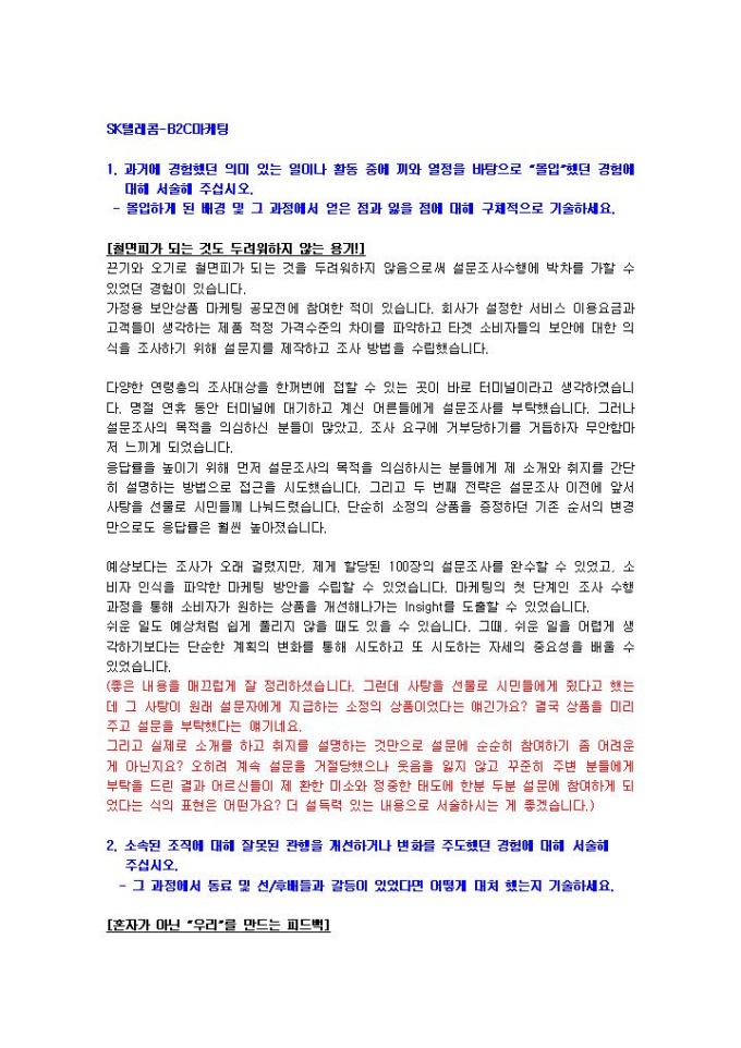 SK텔레콤 B2C마케팅 자기소개서 01 미리보기