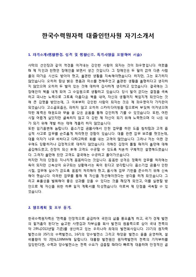 한국수력원자력 인턴사원 자기소개서 미리보기