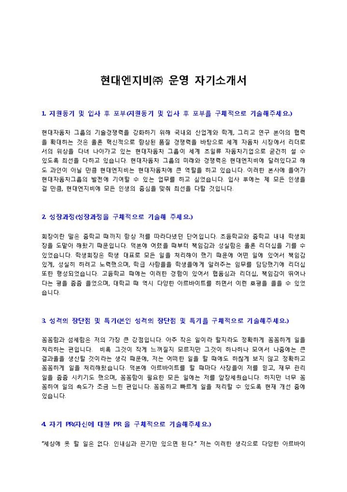 현대엔지비 운영 자기소개서 미리보기