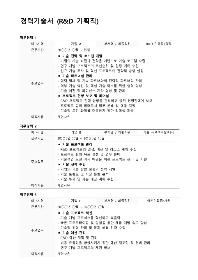 경력기술서 (R&D 기획직) 미리보기