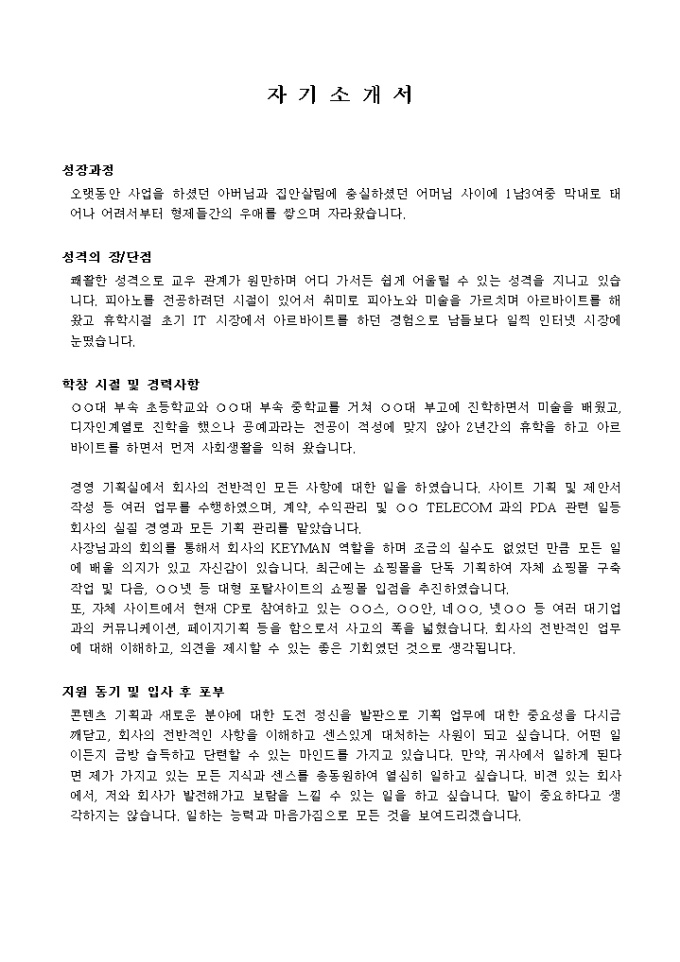 웹기획_경력 자기소개서 미리보기