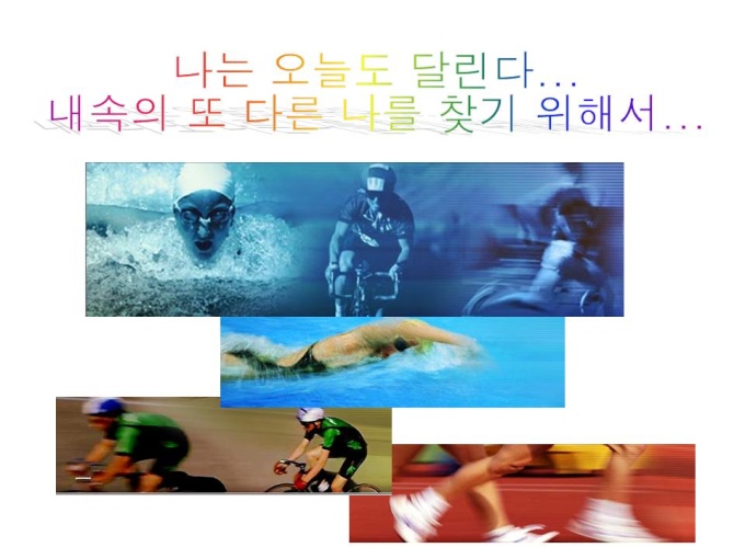 여름 휴가계획서(철인3종경기) 미리보기