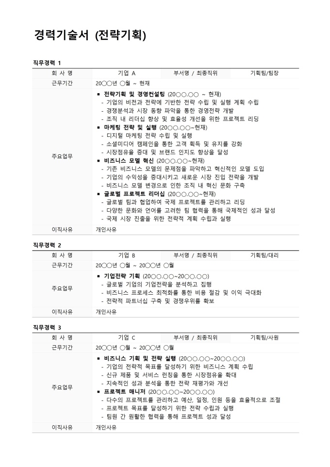 경력기술서(전략기획)